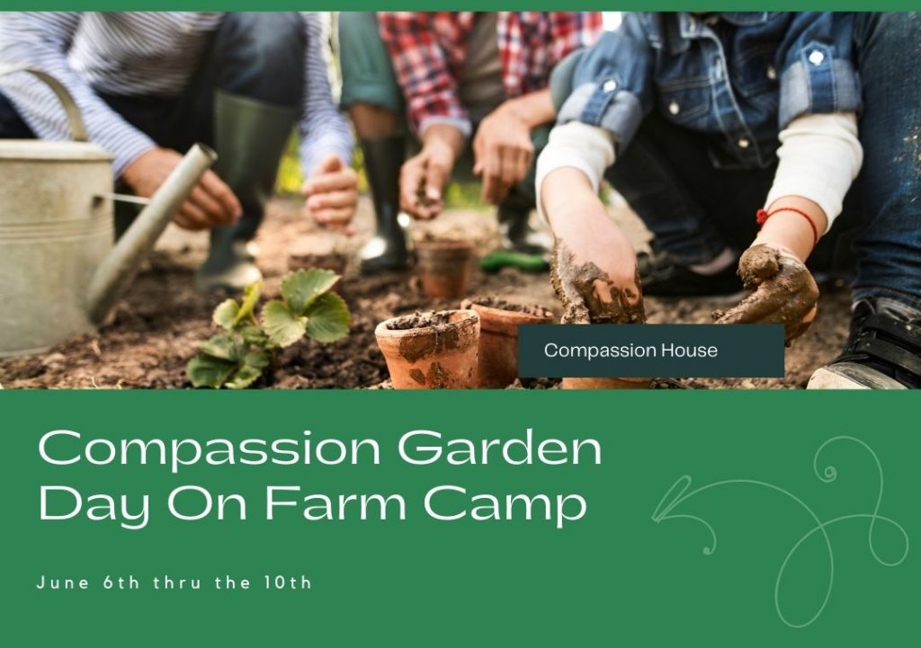 Home Compassion House